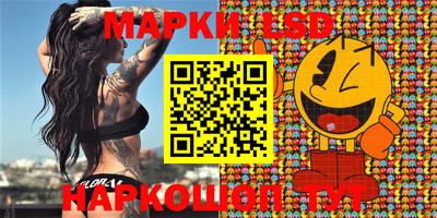 a pvp Гатчина