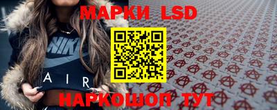 a pvp Гатчина
