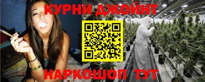 a pvp Гатчина