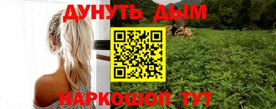 a pvp Гатчина